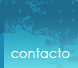 Contacto
